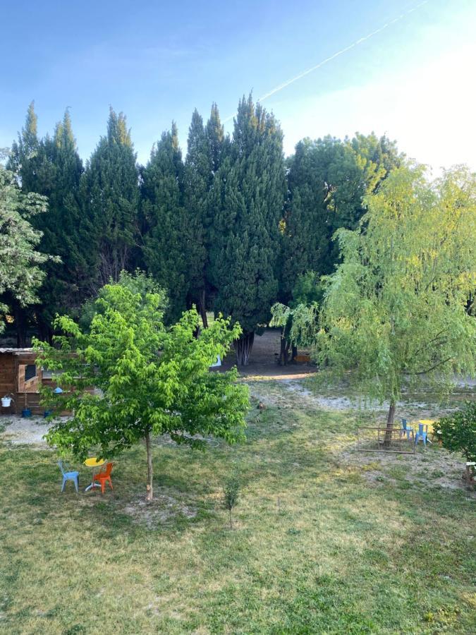 Chambre D'Hotes Les Cypres De L'Ile Αβινιόν Εξωτερικό φωτογραφία