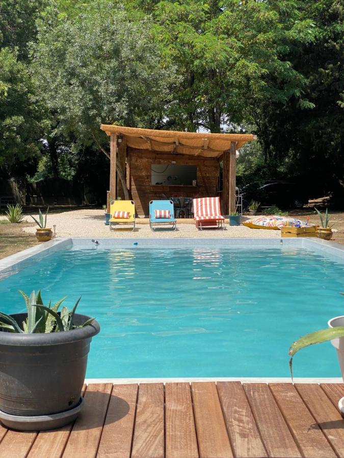 Chambre D'Hotes Les Cypres De L'Ile Αβινιόν Εξωτερικό φωτογραφία